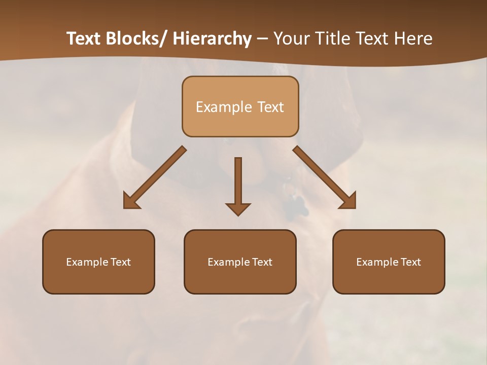 A Brown Dog Sitting On Top Of A Grass Covered Field PowerPoint Template