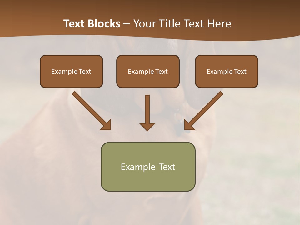 A Brown Dog Sitting On Top Of A Grass Covered Field PowerPoint Template