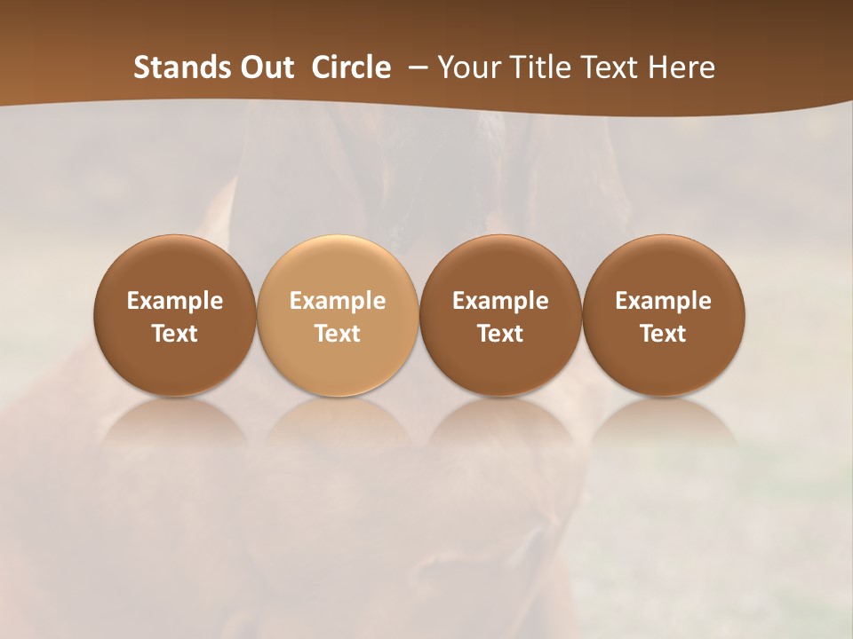 A Brown Dog Sitting On Top Of A Grass Covered Field PowerPoint Template