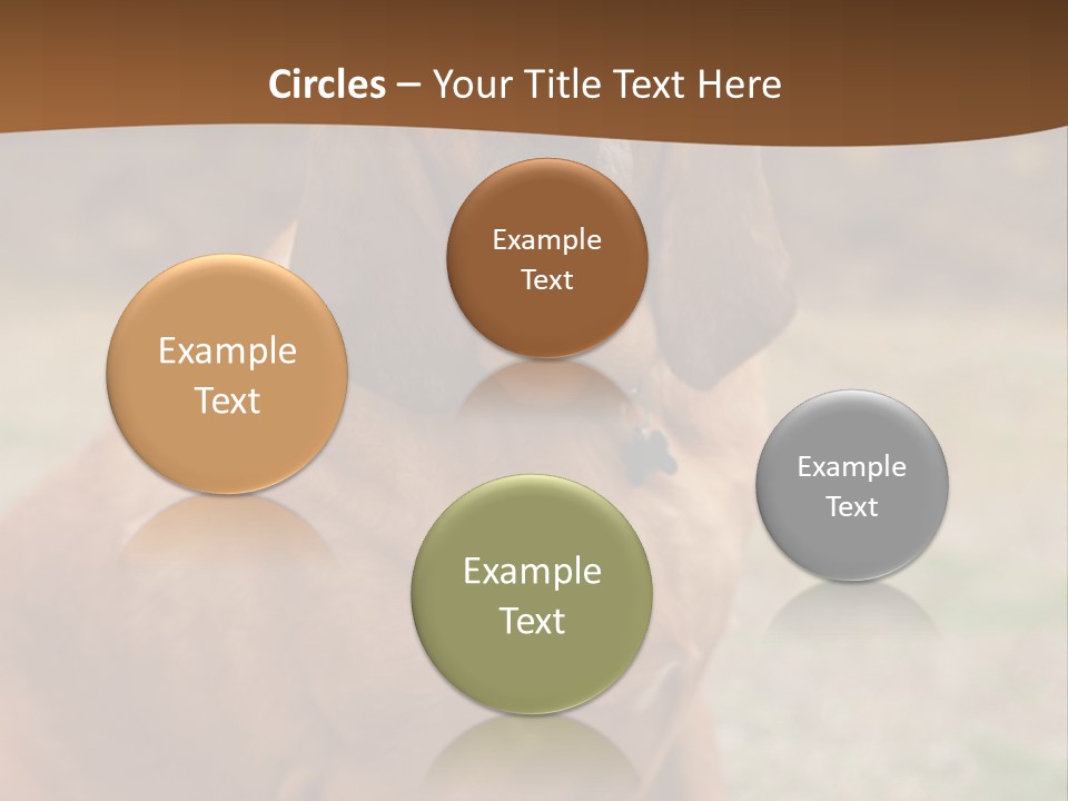 A Brown Dog Sitting On Top Of A Grass Covered Field PowerPoint Template