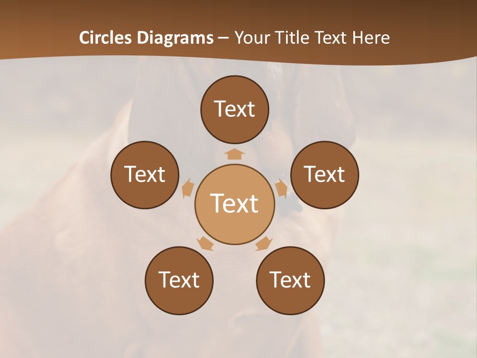 A Brown Dog Sitting On Top Of A Grass Covered Field PowerPoint Template