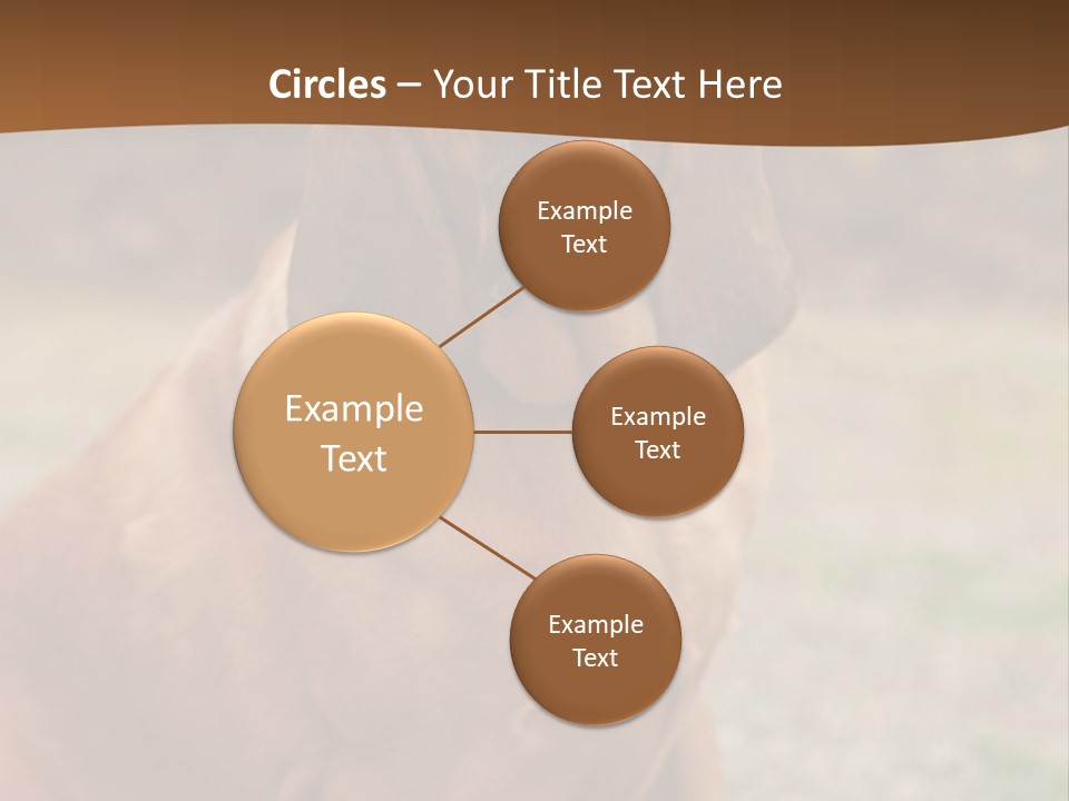 A Brown Dog Sitting On Top Of A Grass Covered Field PowerPoint Template