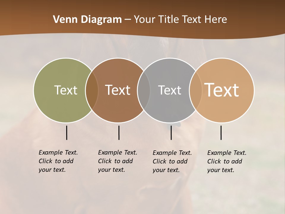 A Brown Dog Sitting On Top Of A Grass Covered Field PowerPoint Template
