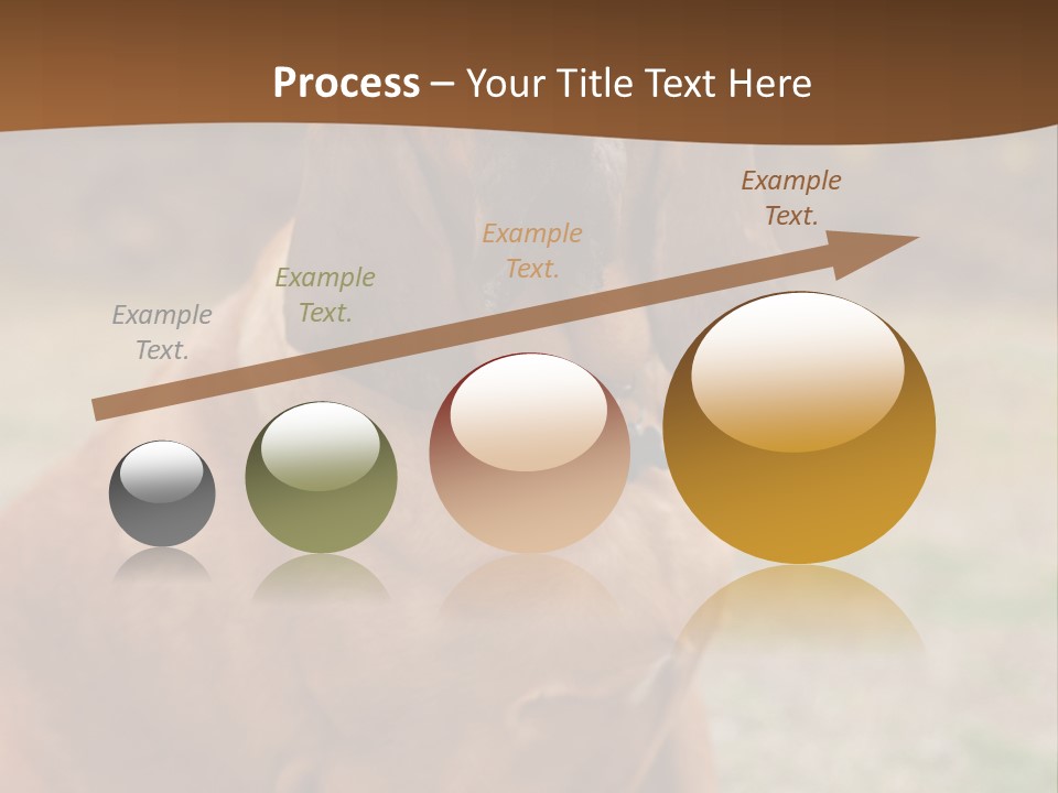 A Brown Dog Sitting On Top Of A Grass Covered Field PowerPoint Template