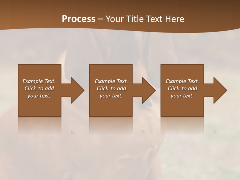 A Brown Dog Sitting On Top Of A Grass Covered Field PowerPoint Template