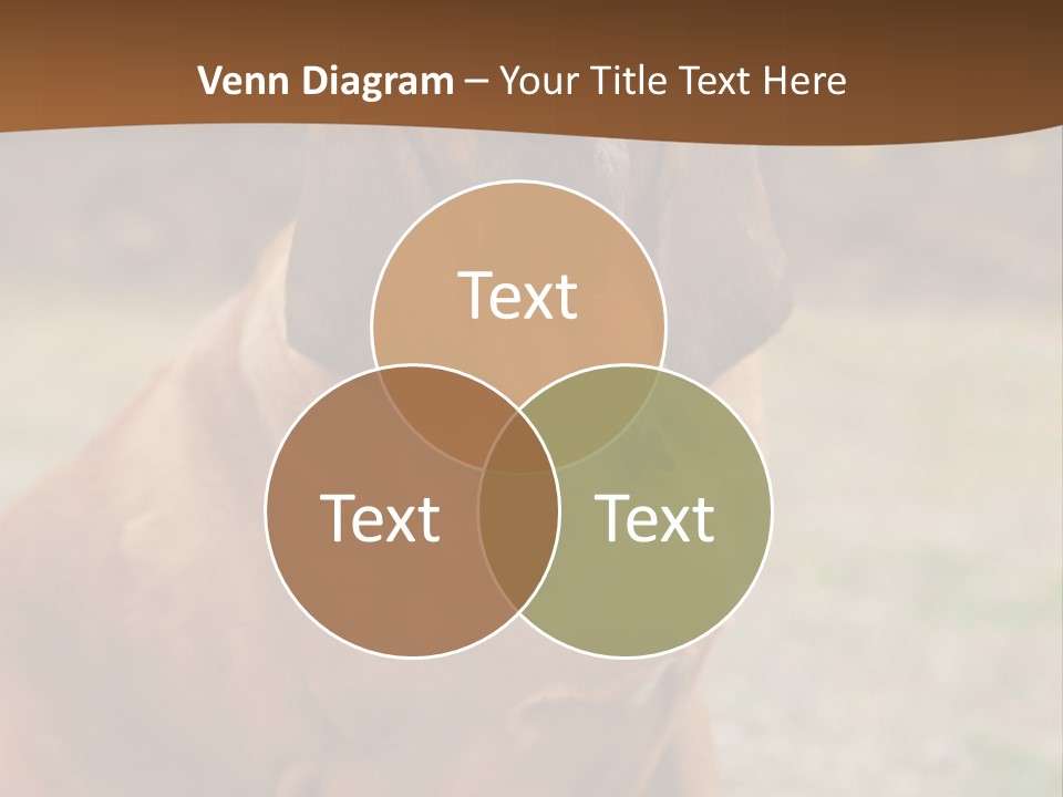 A Brown Dog Sitting On Top Of A Grass Covered Field PowerPoint Template