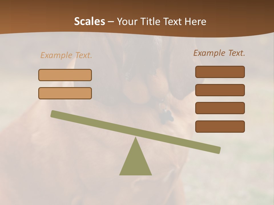 A Brown Dog Sitting On Top Of A Grass Covered Field PowerPoint Template