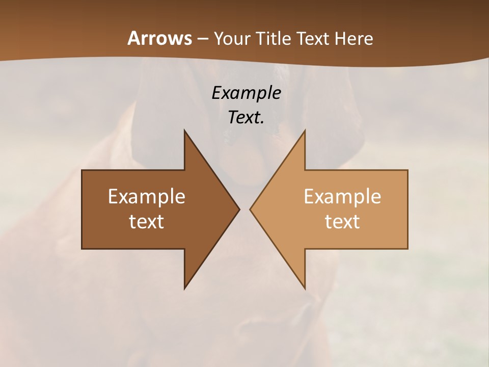 A Brown Dog Sitting On Top Of A Grass Covered Field PowerPoint Template