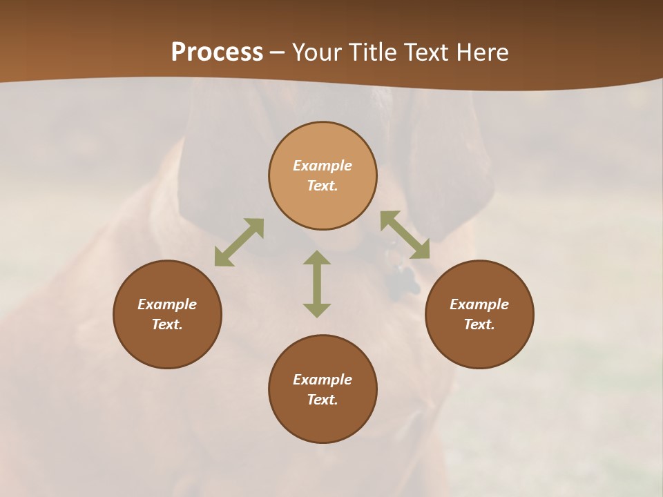 A Brown Dog Sitting On Top Of A Grass Covered Field PowerPoint Template