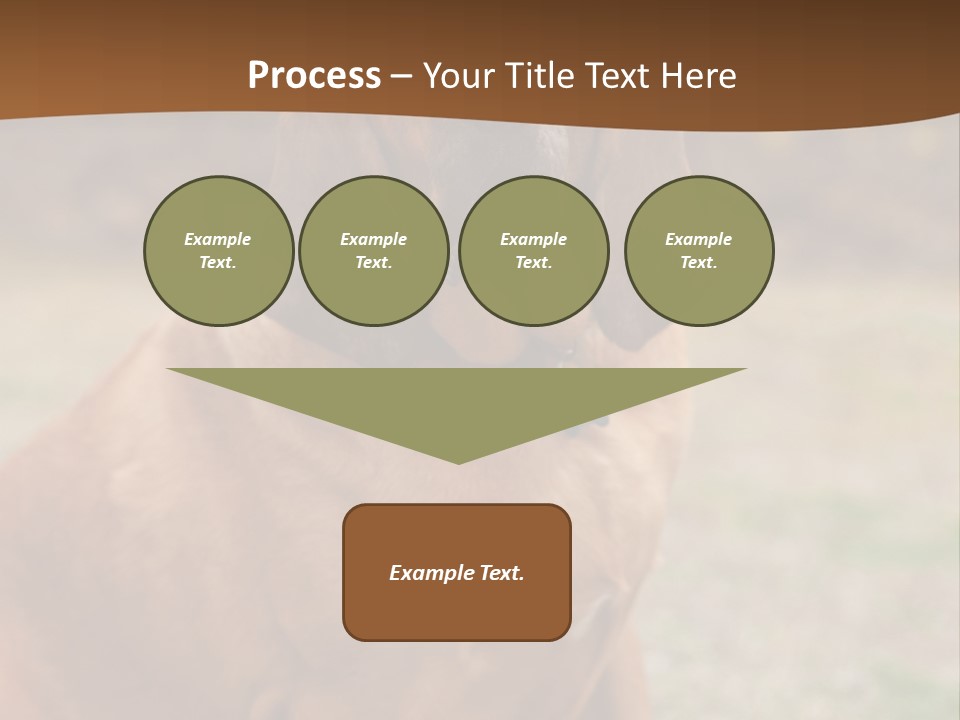 A Brown Dog Sitting On Top Of A Grass Covered Field PowerPoint Template
