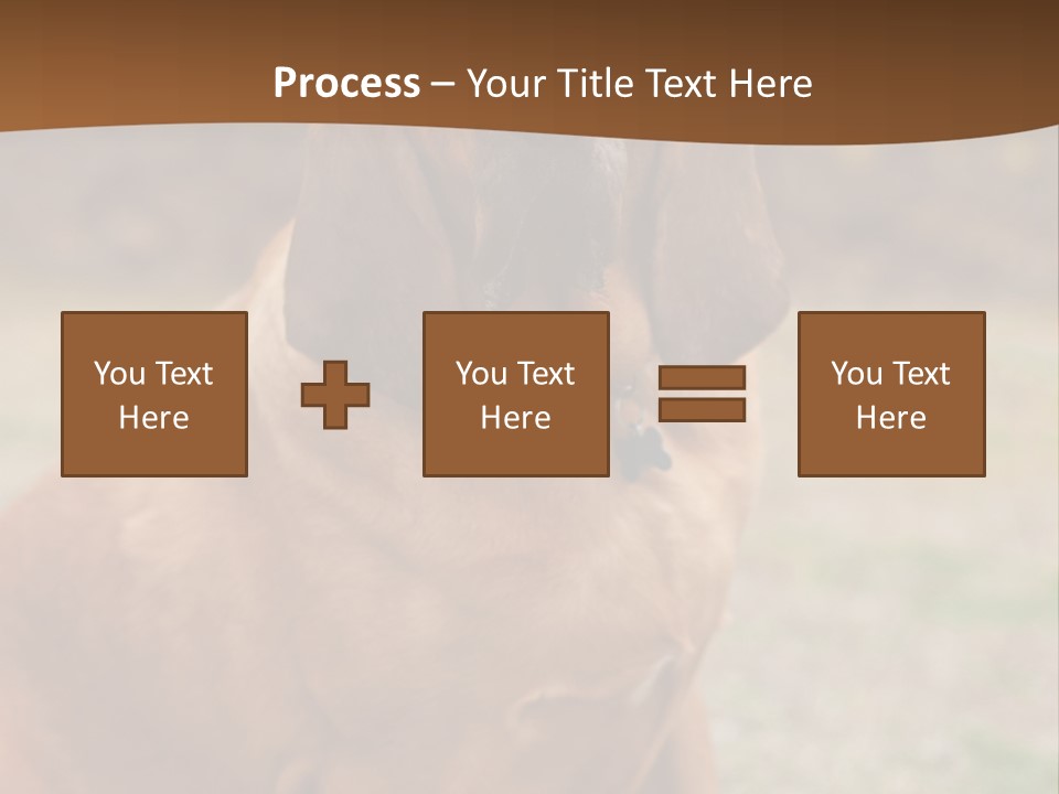 A Brown Dog Sitting On Top Of A Grass Covered Field PowerPoint Template