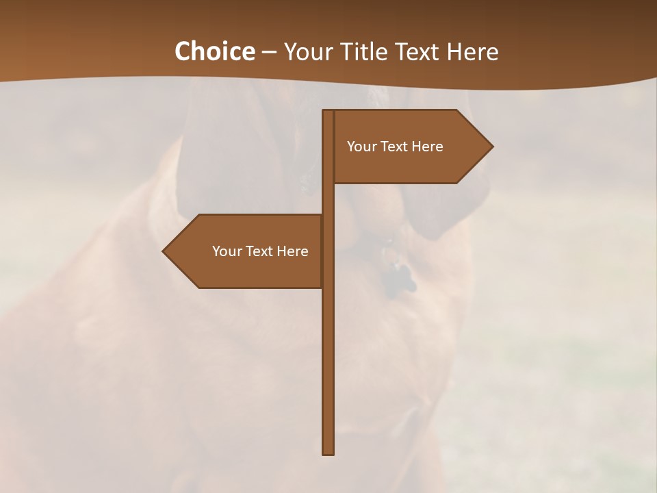 A Brown Dog Sitting On Top Of A Grass Covered Field PowerPoint Template