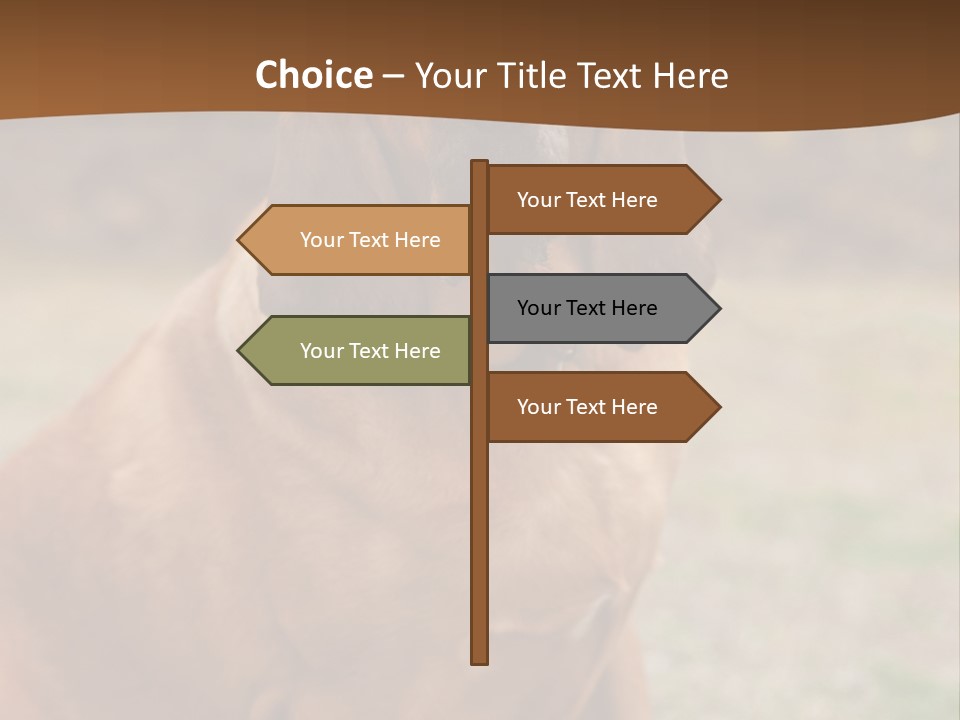 A Brown Dog Sitting On Top Of A Grass Covered Field PowerPoint Template
