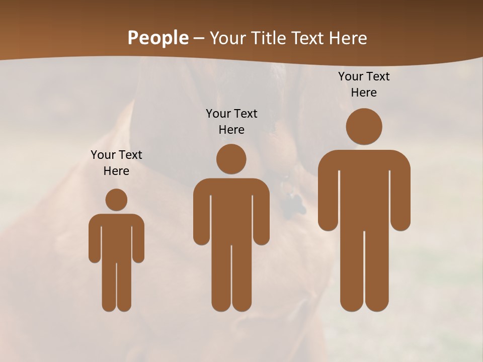 A Brown Dog Sitting On Top Of A Grass Covered Field PowerPoint Template