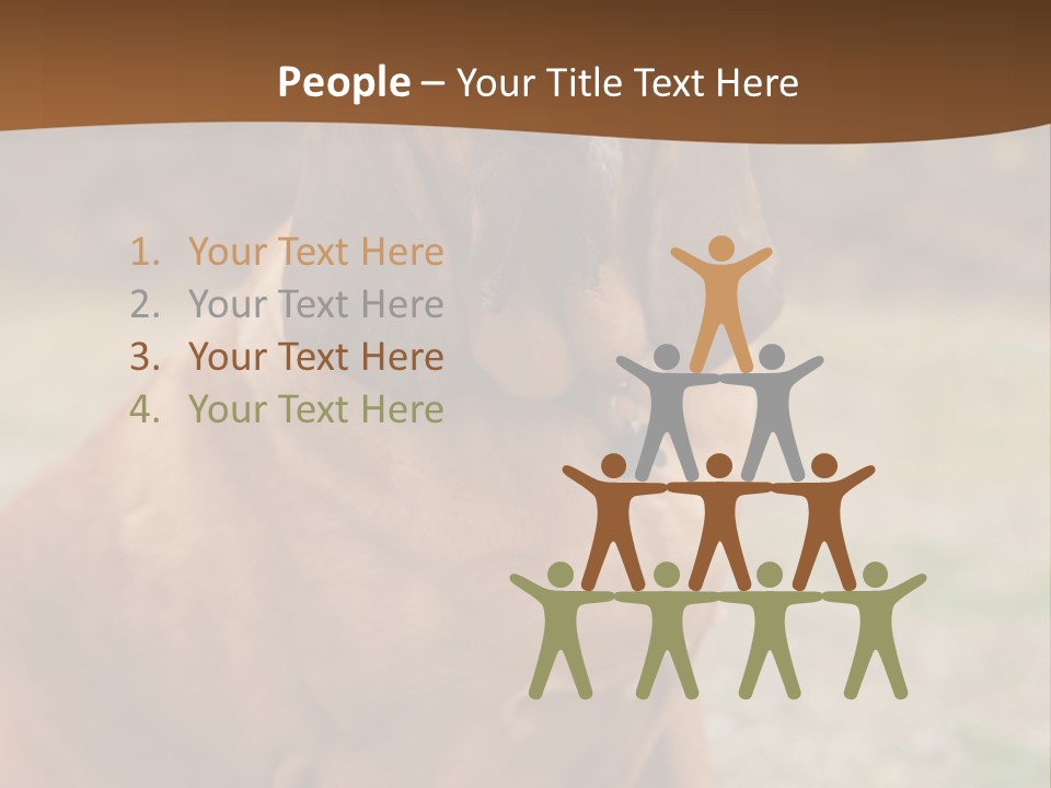 A Brown Dog Sitting On Top Of A Grass Covered Field PowerPoint Template