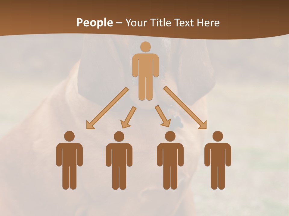 A Brown Dog Sitting On Top Of A Grass Covered Field PowerPoint Template