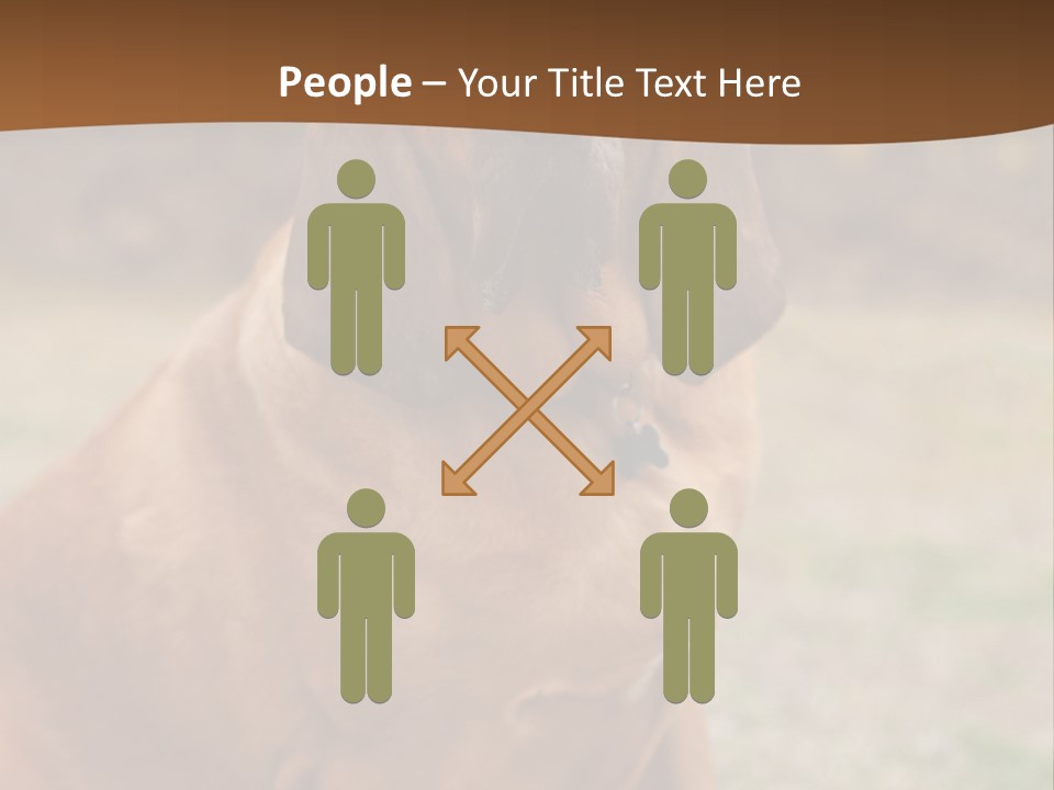 A Brown Dog Sitting On Top Of A Grass Covered Field PowerPoint Template