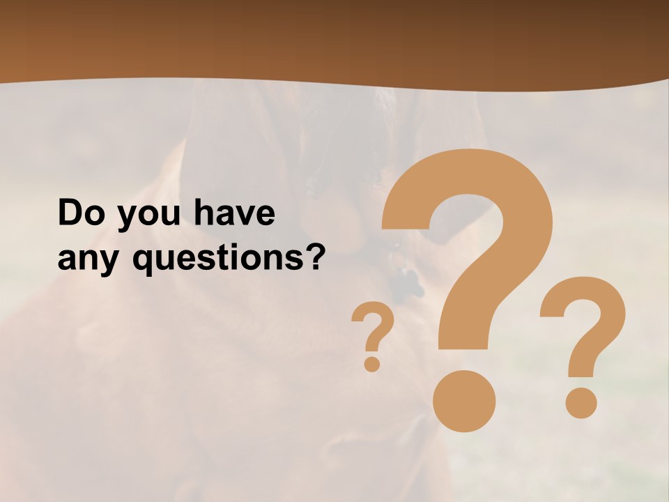 A Brown Dog Sitting On Top Of A Grass Covered Field PowerPoint Template