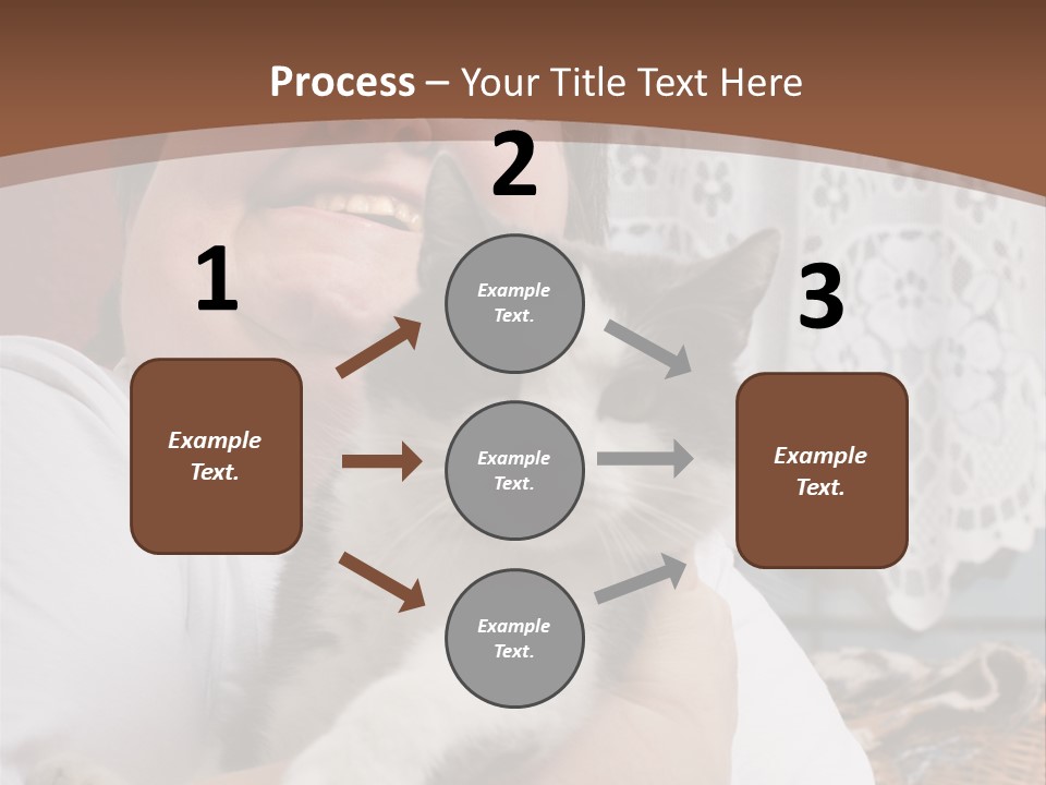 A Woman Is Holding A Cat In Her Arms PowerPoint Template