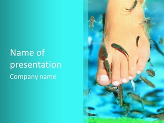 A Person's Foot With Fish In The Water PowerPoint Template