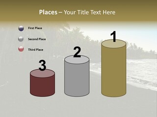 A Black Beach With Palm Trees And Water PowerPoint Template