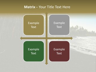 A Black Beach With Palm Trees And Water PowerPoint Template