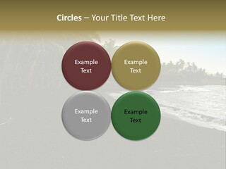 A Black Beach With Palm Trees And Water PowerPoint Template