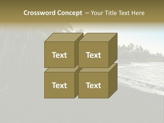 A Black Beach With Palm Trees And Water PowerPoint Template