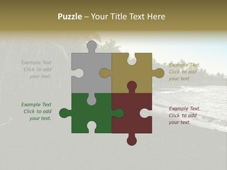 A Black Beach With Palm Trees And Water PowerPoint Template