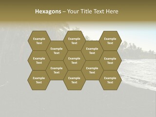 A Black Beach With Palm Trees And Water PowerPoint Template