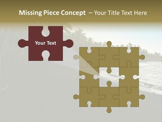 A Black Beach With Palm Trees And Water PowerPoint Template