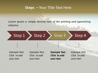 A Black Beach With Palm Trees And Water PowerPoint Template