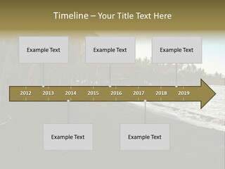 A Black Beach With Palm Trees And Water PowerPoint Template