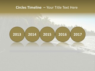 A Black Beach With Palm Trees And Water PowerPoint Template