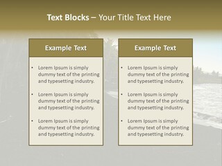 A Black Beach With Palm Trees And Water PowerPoint Template