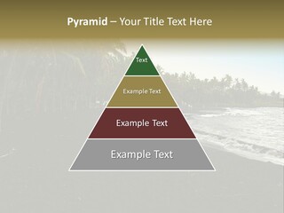 A Black Beach With Palm Trees And Water PowerPoint Template