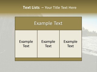 A Black Beach With Palm Trees And Water PowerPoint Template