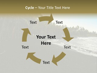 A Black Beach With Palm Trees And Water PowerPoint Template