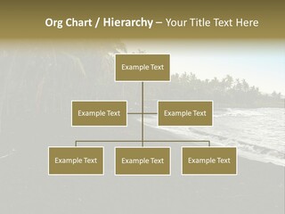 A Black Beach With Palm Trees And Water PowerPoint Template