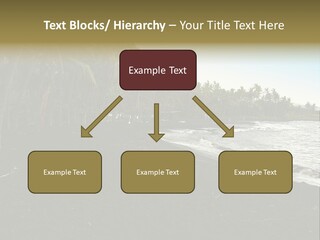 A Black Beach With Palm Trees And Water PowerPoint Template