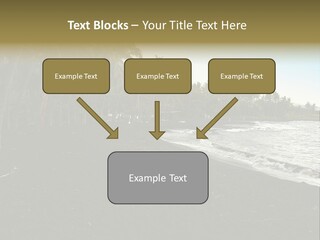 A Black Beach With Palm Trees And Water PowerPoint Template