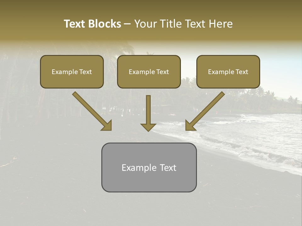 A Black Beach With Palm Trees And Water PowerPoint Template