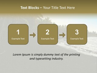 A Black Beach With Palm Trees And Water PowerPoint Template