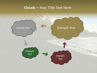 A Black Beach With Palm Trees And Water PowerPoint Template