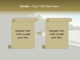 A Black Beach With Palm Trees And Water PowerPoint Template