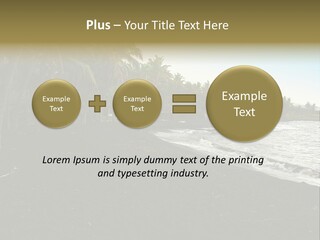 A Black Beach With Palm Trees And Water PowerPoint Template