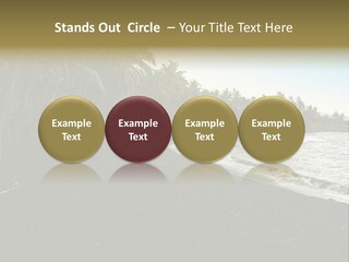 A Black Beach With Palm Trees And Water PowerPoint Template