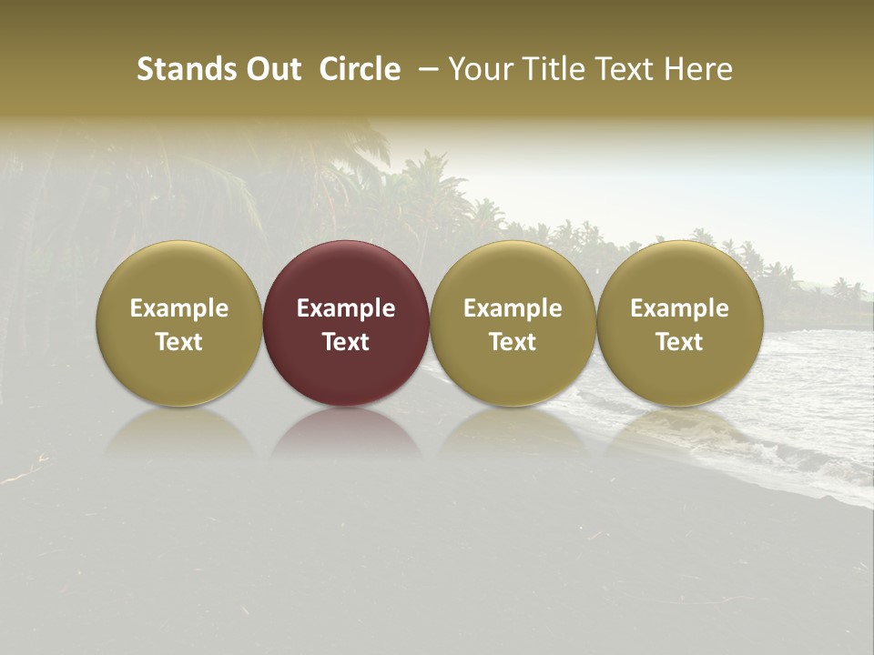 A Black Beach With Palm Trees And Water PowerPoint Template