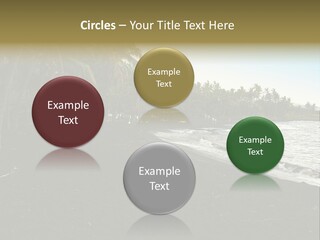 A Black Beach With Palm Trees And Water PowerPoint Template