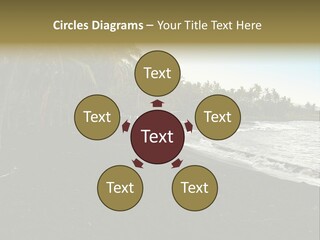 A Black Beach With Palm Trees And Water PowerPoint Template